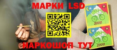 индика Моздок
