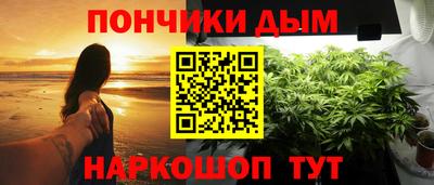 индика Моздок