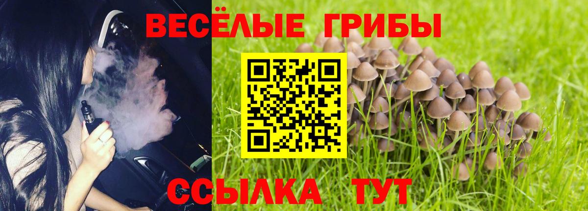 Галлюциногенные грибы Psilocybine cubensis  Вход с VPN  Галлюциногенные грибы мухоморы  Саяногорск 